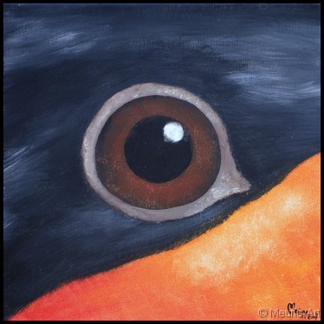 Augenblick eines Dompfaffs Acryl auf Leinwand;
30 x 30 cm